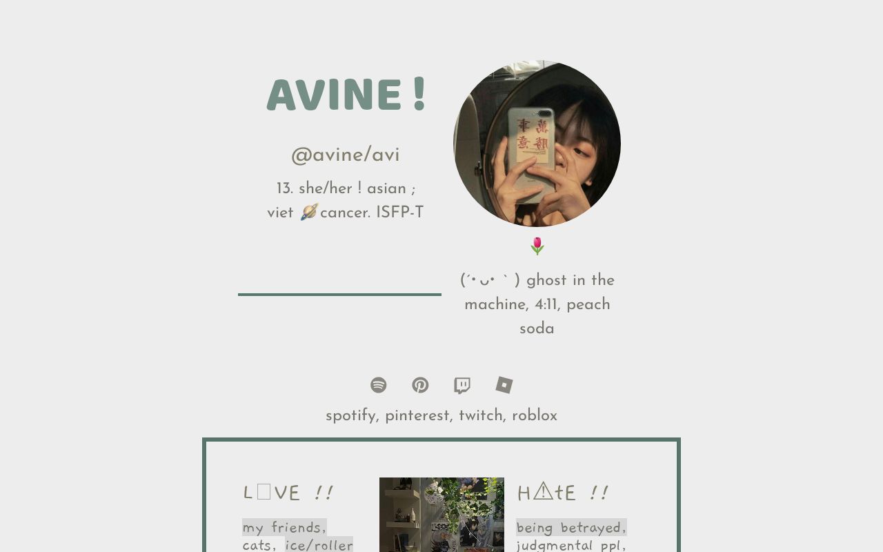 About Avi About Avi